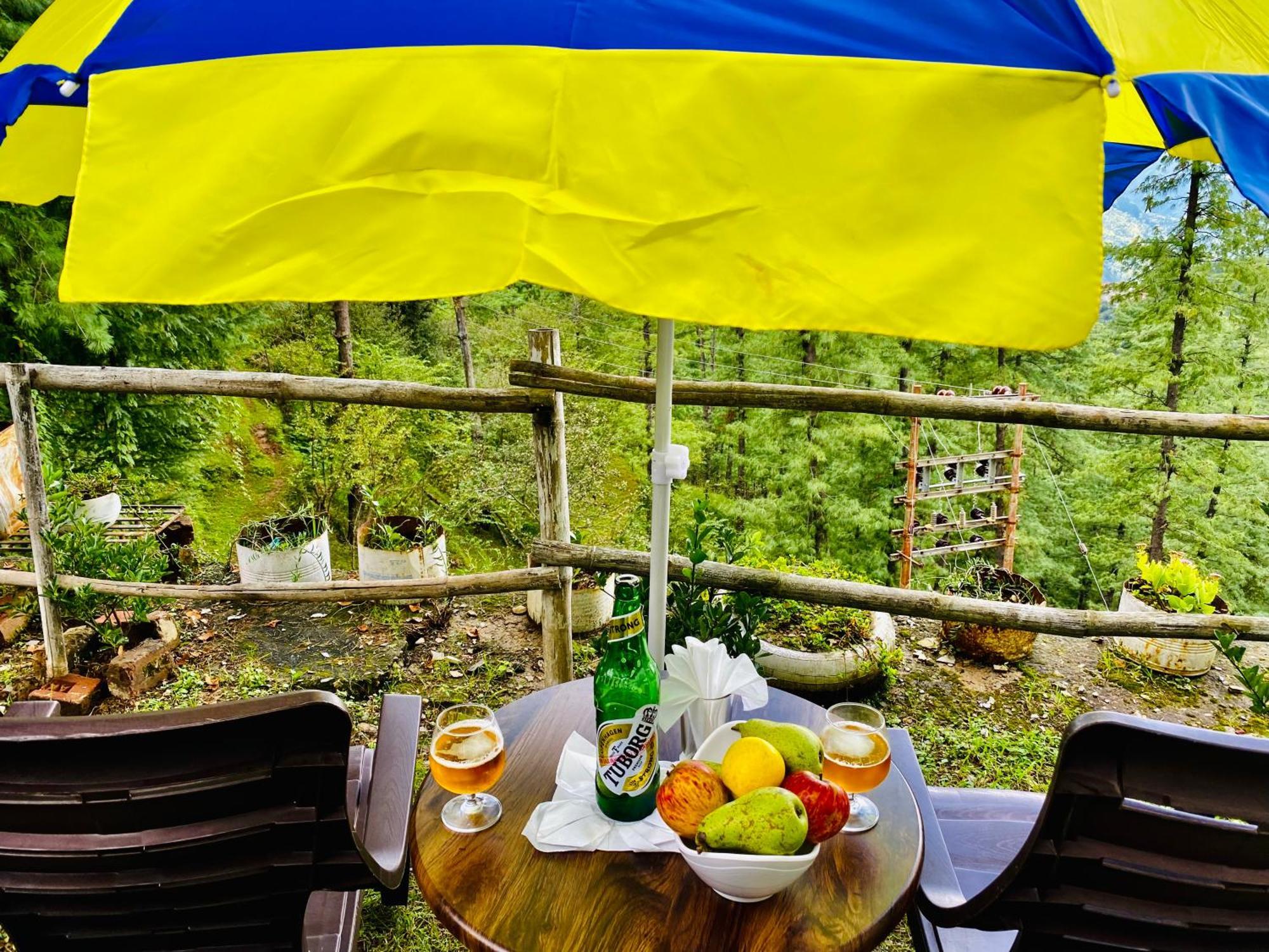 Royal Green Mashobra - Mountain And Valley View Rooms Shimla Eksteriør bilde